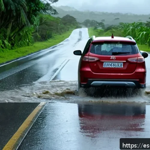 앤티가 바부다 교통사고 통계 - A rainy day scene on a rural road in Antigua and Barbuda showing slippery, waterlogged asphalt with ...