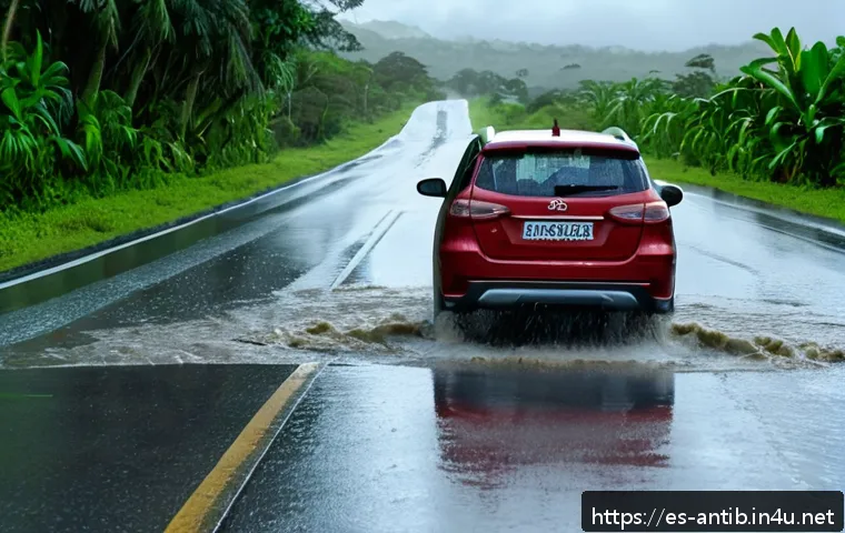 앤티가 바부다 교통사고 통계 - A rainy day scene on a rural road in Antigua and Barbuda showing slippery, waterlogged asphalt with ...