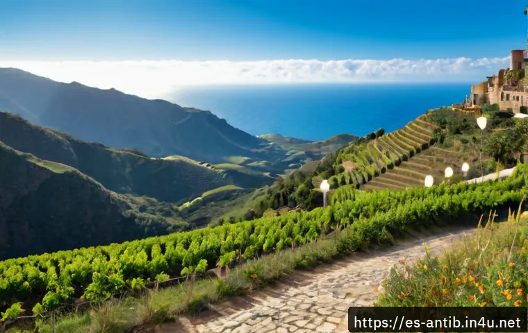 Cómo elegir un hotel de lujo en Antigua y Barbuda: zonas, todo incluido y presupuesto 4 앤티가 바부다 5성급 호텔 추천 관련 이미지 2