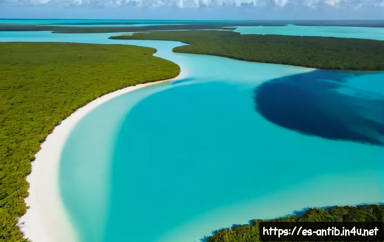 Home 17 앤티가 바부다 야생동물 보호구역 - Photorealistic aerial view of Codrington Lagoon wildlife sanctuary in Barbuda, Antigua and Barbuda, ...